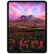 Планшет Apple 11-inch (M4) iPad Pro Wi-Fi 256GB - Space Black (MVV83LL/A)