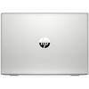Ноутбук HP ProBook 455 G7 (1F3M4EA)