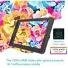 Графический планшет Huion Kamvas Pro 12