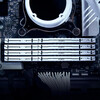 Память оперативная Kingston 32GB 5600MT/s DDR5 CL36 DIMM FURY Beast White EXPO