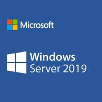 ПО HP Enterprise Microsoft Windows Server 2019 5DEV CAL EMEA (P11078-A21)
