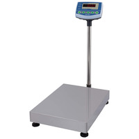 Весы напольные Scale СКЕ-300-4560 3